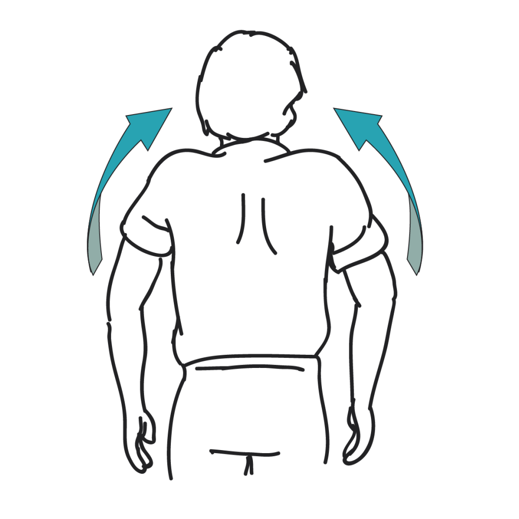 Illustratie4