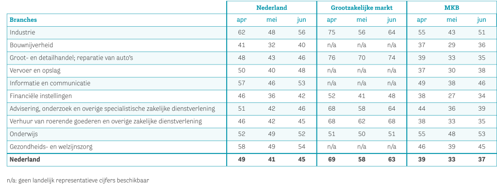 Data-2025-aprmeijun-Aantal ziekmeldingen naar branche en bedrijfsgrootte-NL.png